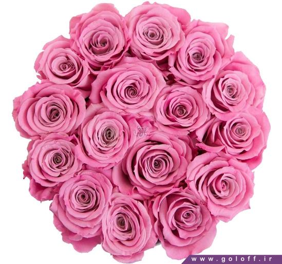 خرید گل اینترنتی - جعبه گل ولنتاین کارولین - Carolyn | گل آف